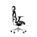 Dorsum - Executive Ergonomic Mesh Chair